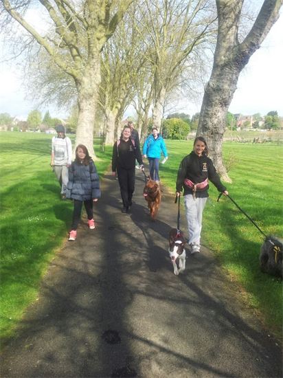 Waendel Walk for Wellidogs