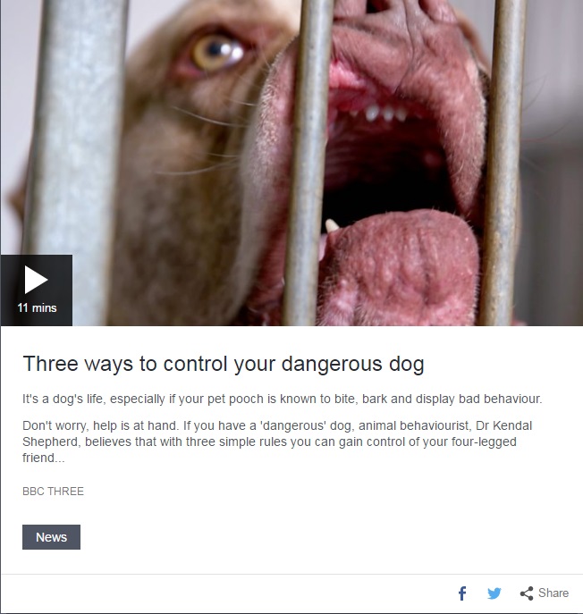 CLICK ON THE IMAGE TO SEE WILL'S TV DEBUT! <3