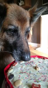 Mmmmm.... Liver Cake Birthday Cake 