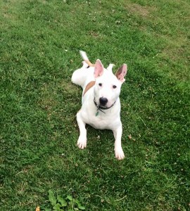 FRANKIE (August 2013) "Frankie has come such a long way and now I wouldn't ever see him change or go anywhere... "