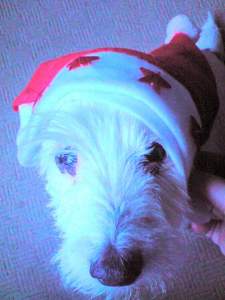 WIDGET (2009) "And he enjoyed dressing up! lol"