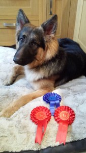 DEXTER (March 2015) "So affectionate and loving... The best thing we ever did was fall in love with him. Life is just better with him in it..."