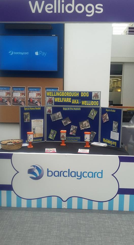 Our Very Own WELLIDOG Stand at Barclaycard